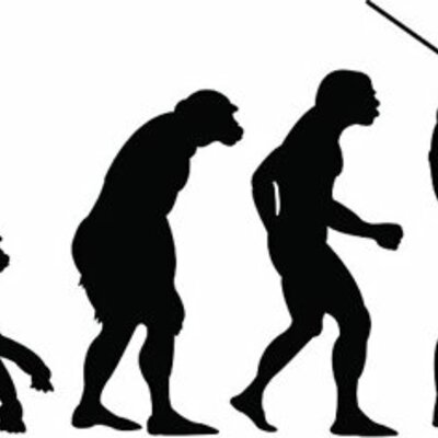 Timeline: Evolución humana