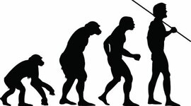 Timeline: Evolución humana