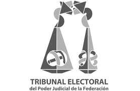 Reforma política de 1996 y creación del Tribunal Electoral de Poder Judicial de la Federación.