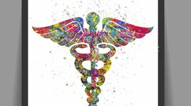 Timeline: Antecedentes de la Bioética, Rebeca Díaz