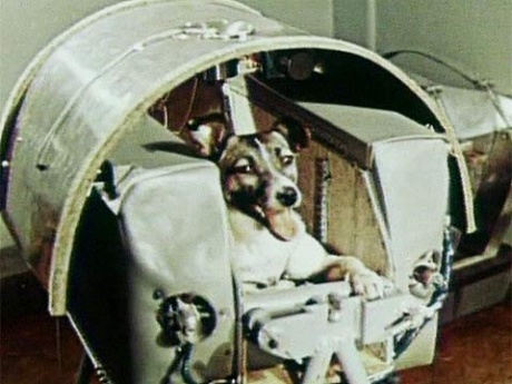 LAIKA (SPUTNIK 2)