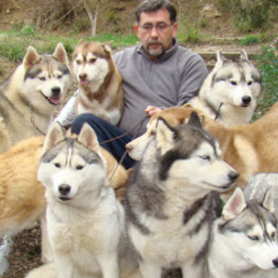 Timeline: "Breeder of Siberian Huskies." Simple past DID, regular and irregular verbs Salazar Marín Julián