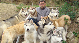 Timeline: "Breeder of Siberian Huskies." Simple past DID, regular and irregular verbs Salazar Marín Julián
