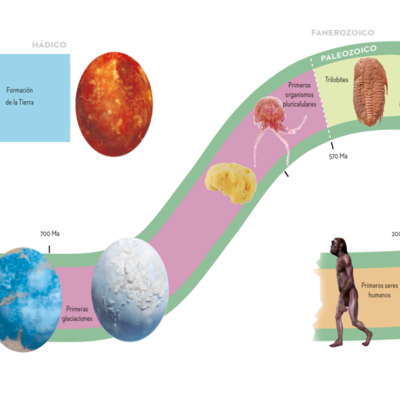 Timeline: A Historia xeolóxica da Terra