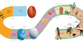 Timeline: A Historia xeolóxica da Terra