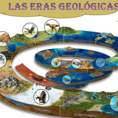 Timeline: Evolución de la vida en la tierra