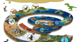 Timeline: Evolución de la vida en la tierra