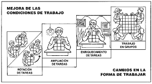 La nueva forma de organización