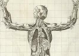 El doctor Miguel Fernández inicia la cátedra prima en la facultad de Ciencias Médicas