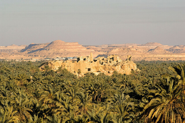 Expedición al oasis de Siwah