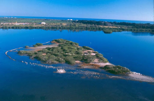 Pelican Island, Florida named first national wildlife refuge