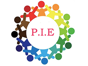 Incorporación de la informática educativa a la educación dominicana.