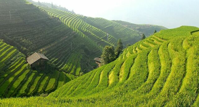China, caracteristicas