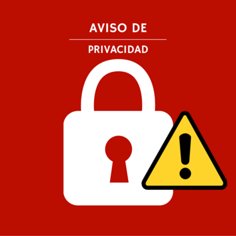 Reformamiento del artículo 16