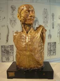 Reforma de enseñanza