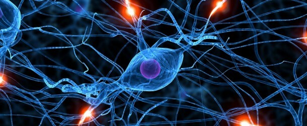 J.T. Cacioppo y sus colaboradores utilizan refinadas técnicas de registro neuronal para medir actitudes.