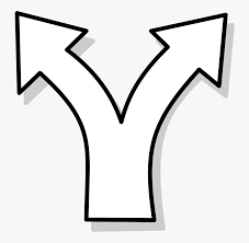 AMI withdraws recognition of AMS as Montessori Society