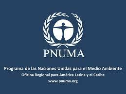 Programas de Naciones Unidas para el Medio Ambiente (PNUMA)