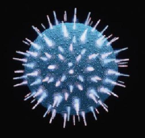 Outbreak of Alpha Virus