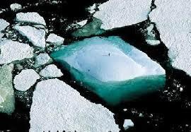 Declaración Djerba (Túnez)