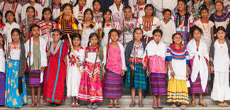 PROCURADURIA PARA LA DEFENSA DEL INDIGENA EN OAXACA 1986