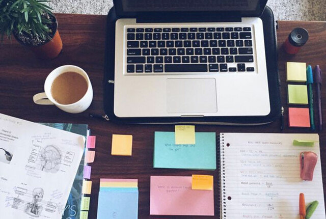 de nuevo a los estudios