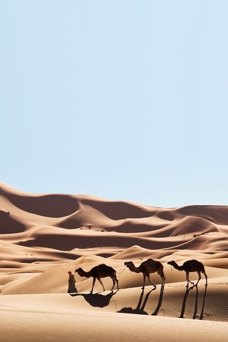 Alejandro conquista Egipto