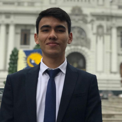 Timeline: CV - David Fernando Castañeda Lopez