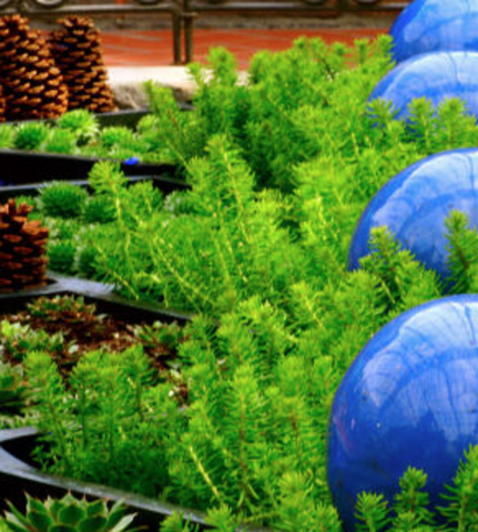 Hanibal Barcal (Positive / NEgative trait