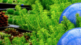 Timeline: Unit 1 HI: To what extent do people change behaviors due to visual cues?