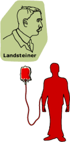 Karl Landsteiner identified human blood groups