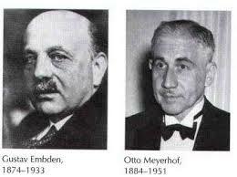 Gustav Embden y  Otto Meyerhof