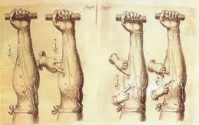 Se crea la Academia de Estudios