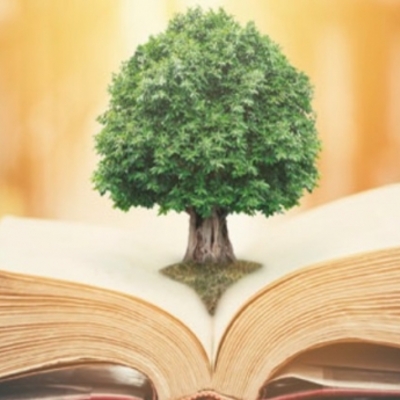 Timeline: Evolución jurídica del derecho ambiental