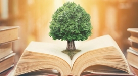 Timeline: Evolución jurídica del derecho ambiental