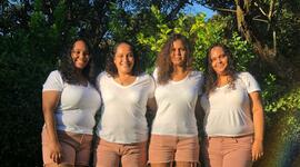 Timeline: Árbol genealógico y principales logros individualizados