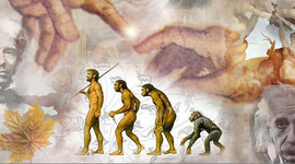 Timeline: Origen de la Sociología