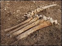 Primeros indicios matemáticos en África