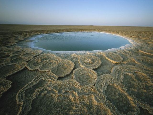 Colonisation of Africa Complete