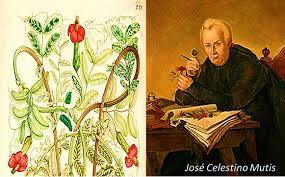 EXPEDICON BOTÁNICA DIRIGIDA POR MUTIS