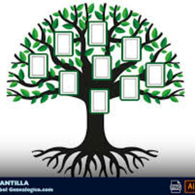 Timeline: Árbol genealógico y principales logros individualizados