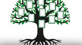 Timeline: Árbol genealógico y principales logros individualizados