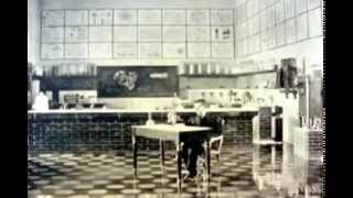 Se constituye como facultad