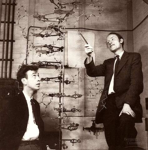 James Watson y Francis Crick