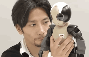 CREACIÓN DE ROBO GARAGE CO.