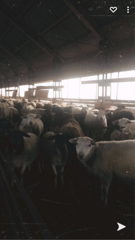 Käisin esimest korda vanaema juures