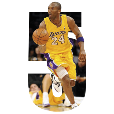 Timeline: 2nd trimester final work