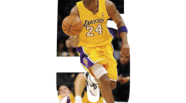 Timeline: 2nd trimester final work