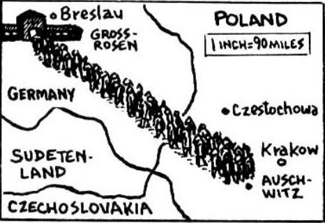 Vladek evacuated from Auschwitz.