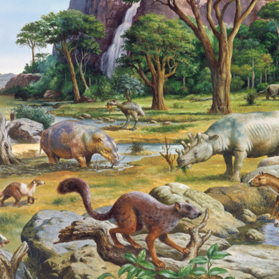 Timeline: Era Cenozoica